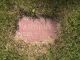 Cecelia Audrey Jane Hersey - Headstone