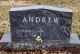 Stephen Andrew - Headstone